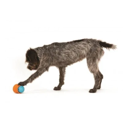 Afbeelding van West Paw Design Hondenspeelgoed Zogoflex Toppl Aqua