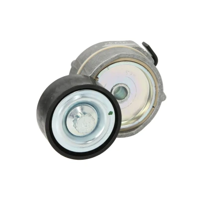 Afbeelding van Riemspanner, Poly V riem DAYCO APV3220