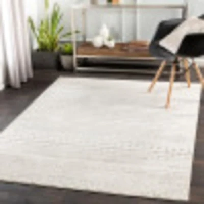Afbeelding van SURYA Vloerkleed Woonkamer, Slaapkamer Scandinavisch Boho Tapijt BIANCA Grijs/Wit 152x213 cm