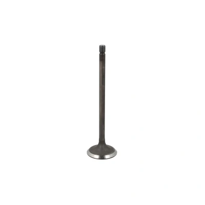 Afbeelding van Inlaatklep FRECCIA R6769/SNT