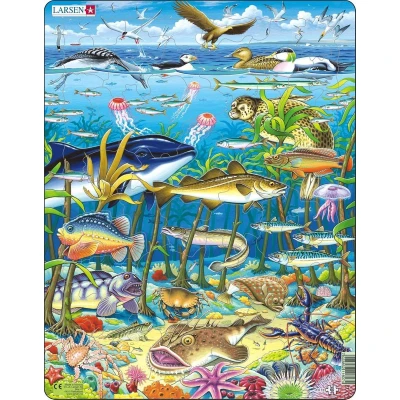 Afbeelding van Larsen Legpuzzel Maxi Noord atlantische Gyre 60 Stukjes