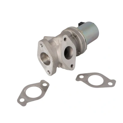 Afbeelding van PIERBURG 7.09002.11.0 EGR klep Electrisch Controleklep Met pakking