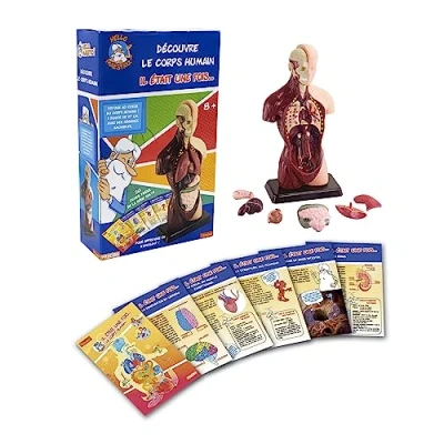Afbeelding van Wetenschapsspel Educa HELLO MAESTRO Bust Anatomy (FR)