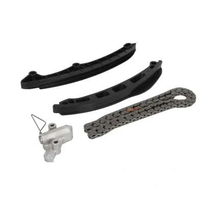 Afbeelding van SWAG 30 94 0672 Distributiekettingset Tandketting, Gesloten ketting VOLKSWAGEN: Golf 6, Polo V Hatchback, 5, AUDI: A3 Sportback, Hatchback