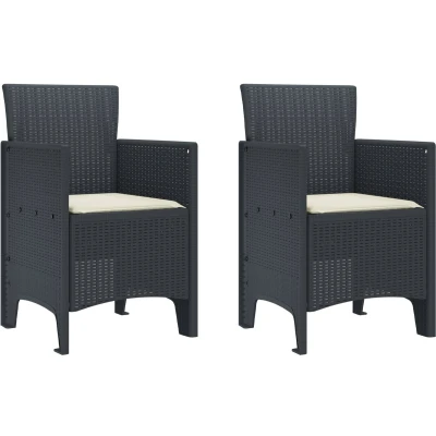 Afbeelding van vidaXL Tuinstoel Set van 2 Anthraciet, Crème wit Plastic Rattan