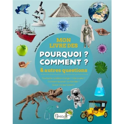 Image de Mon livre des pourquoi comment &amp; autres questions
