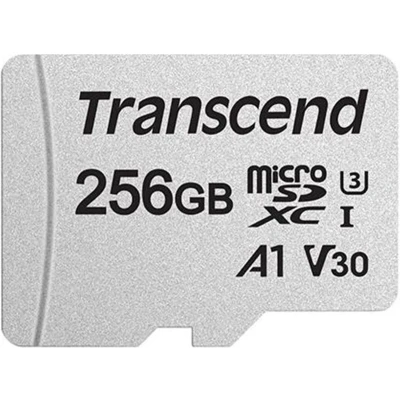 Afbeelding van Transcend 300S MicroSDXC 256GB Class 10