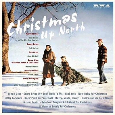 Afbeelding van Various Artists Christmas Up North (LP)