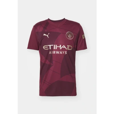 Afbeelding van Puma Manchester CITY Third Replica Fanartikel, Heren, Maat: XL, Dark jasper