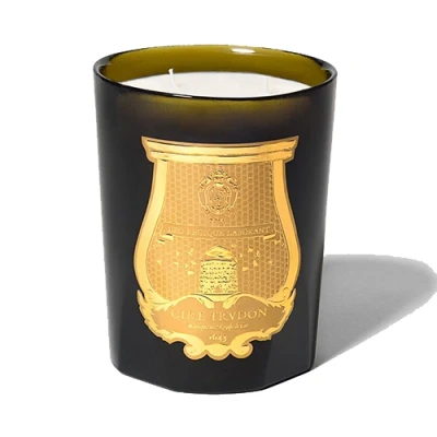 Afbeelding van Trudon Abd El Kadar Geurkaars 800 Gram Olijfgroen