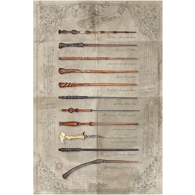 Afbeelding van Harry Potter the Wand Chooses Wizard