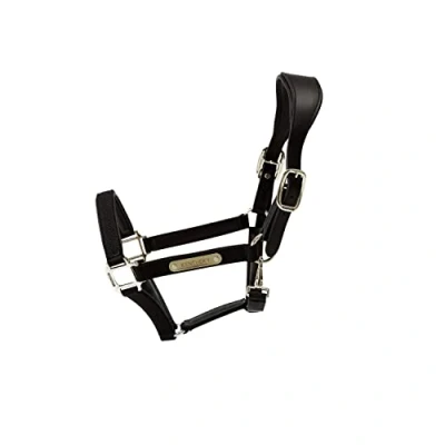 Image de Kentucky Licol Anatomic Nylon Noir Full