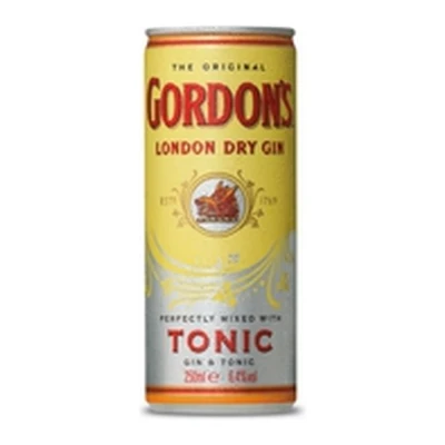 Afbeelding van Gordon&#039;s Gin Tonic 12x25cl