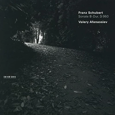 Afbeelding van Valery Afanassiev Sonate B Dur, D 960 (CD)