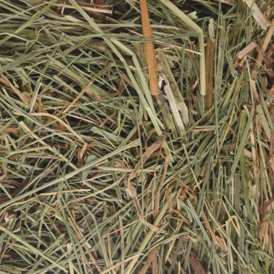Afbeelding van Berghooi met Brandnetel 500 gr
