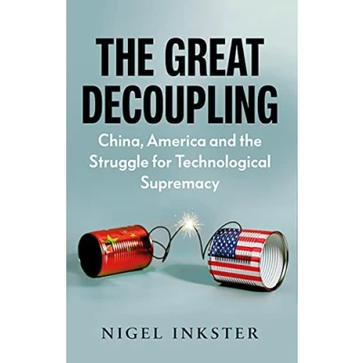 Afbeelding van The Great Decoupling