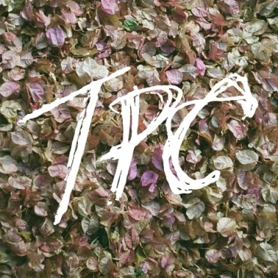 Afbeelding van TPC