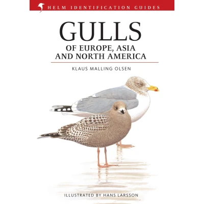Afbeelding van Gulls Of Europe Asia North America