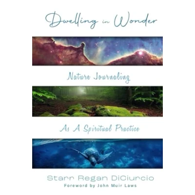 Afbeelding van Dwelling in Wonder: Nature Journaling as a Spiritual Practice