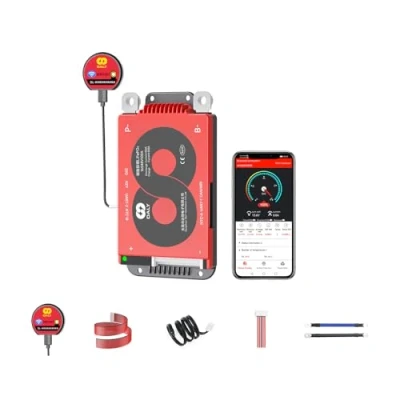 Afbeelding van DALY Smart 16S BMS 48 V met wifi module en communicatiebeschermingskaart CAN 485 voor LifePO4 lithium batterijpakket (16S BMS+RS485+CAN+wifi module, 100 A)