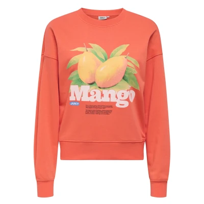Afbeelding van ONLY ONLPHILEA L/S FRUIT O NECK UB SWT Sweaters