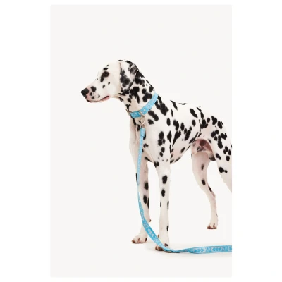 Afbeelding van Dogguo Leash Hondenriem 23 cm Blauw Zilver Voor Kleine Honden S