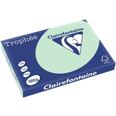 Afbeelding van Clairefontaine Trophée Pastel, gekleurd papier, A3, 120 g, 250 vel, golfgroen papier