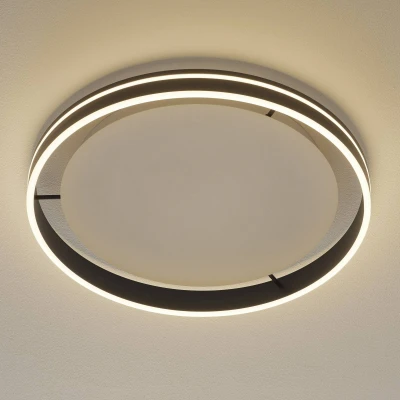 Afbeelding van Paul Neuhaus Q VITO LED plafondlamp 59cm antraciet