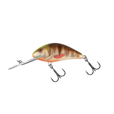 Afbeelding van Salmo Floating Hornet 6cm 10g (diepte 2 5.6m) Soort : Spotted Brown Perch