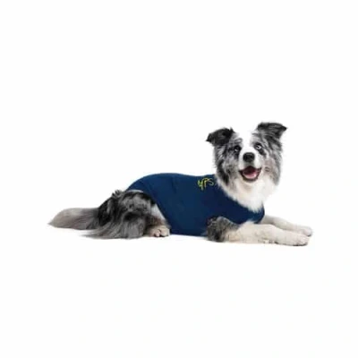 Afbeelding van Medical pet shirt hond XXS (33 42 cm)