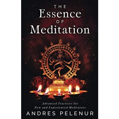 Afbeelding van The Essence of Meditation