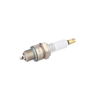 Afbeelding van Champion Bougie OE007/T10