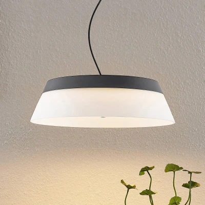 Afbeelding van Lucande Hanglampen 1licht IJzer, glas, plastic H: 12 cm zwart, opaalwit Inclusief lichtbron