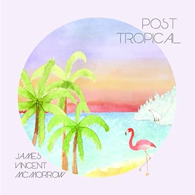 Afbeelding van Post Tropical (LP)