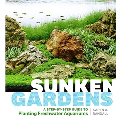 Afbeelding van Sunken Gardens