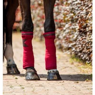 Image de HB Ruitersport Bandages Bordeaux One Size