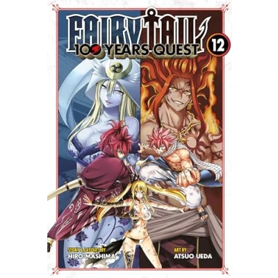 Afbeelding van Fairy Tail 100 Years Quest 12
