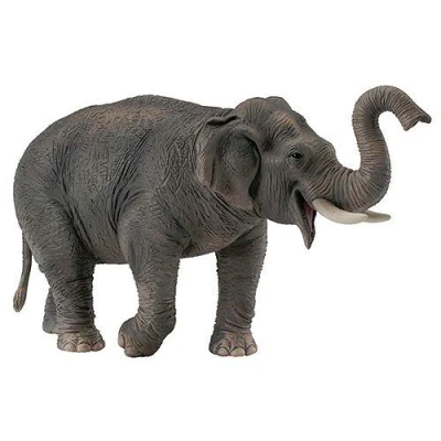 Image de Figurines Collecta Eléphant d&#039;Asie