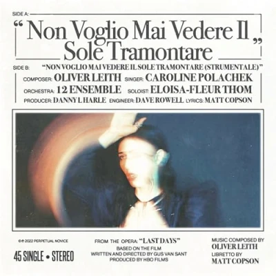 Afbeelding van Caroline Polachek Non Voglio Mai Vedere (Single)