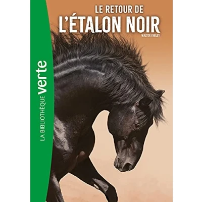 Afbeelding van Le retour de l&#039;étalon noir