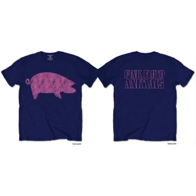 Afbeelding van Pink Floyd AWBDG Heren T shirt M Blauw