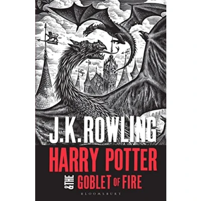 Afbeelding van Harry Potter and the Goblet of Fire