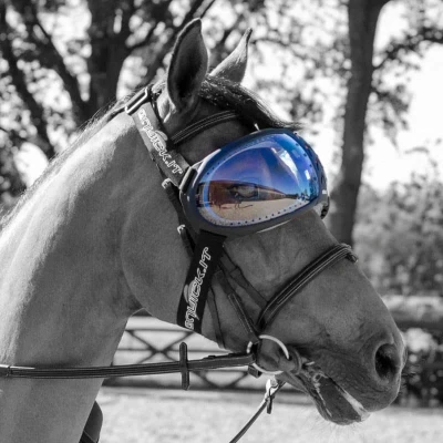 Image de eQuick Verres de Lunettes for eVysor Transparent One Size