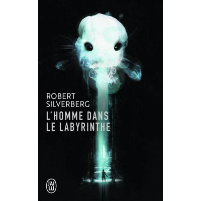 Image de L&#039;homme dans le labyrinthe