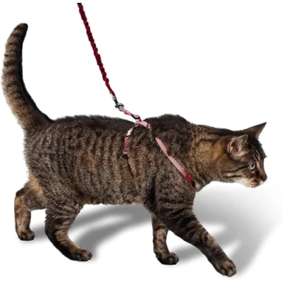 Afbeelding van Petsafe Easy Walk Cat Harness met Bungee Leash Tuigje voor het uitlaten van je kat Rood of Blauw S/M/L Kleur: Rood, Maat: Large 33 46 cm