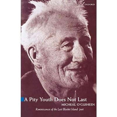 Afbeelding van Pity Youth Does Not Last