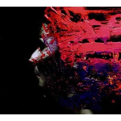 Afbeelding van Hand.Cannot.Erase. Digi Wilson Steven
