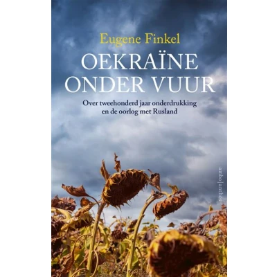 Image de Oekraïne onder vuur
