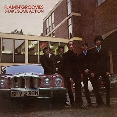 Afbeelding van Flamin Groovies Shake Some Action (LP)