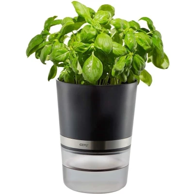 Afbeelding van Kruidenpot Botanico Gefu